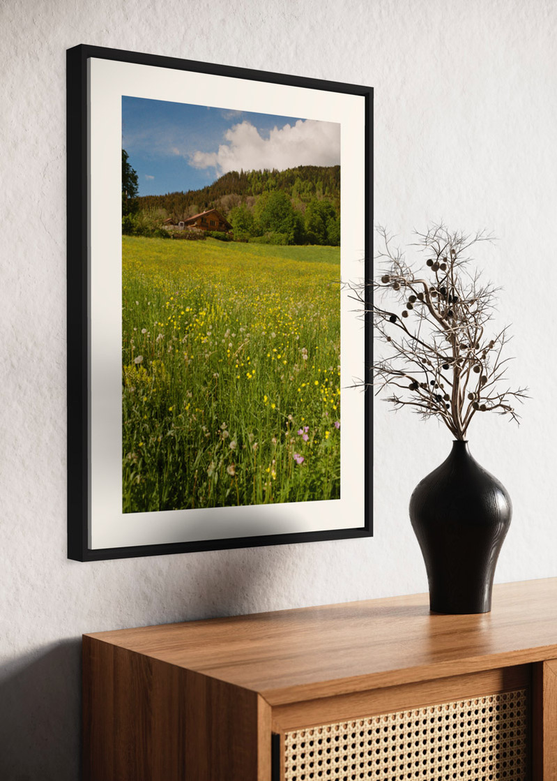 Saint Jean de Sixt#01. Fine art print. Large 50x70cm format on a wall above a sideboard. Vase with dried flowers. Photograph.
Tirage d’art. Grand format 50 par 70 centimètres, accroché au mur au-dessus d’un buffet. Vase et fleurs séchées. Photographie
