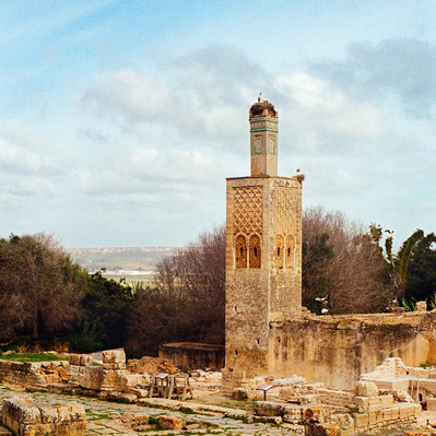 Crowned by stork nests, the old minaret constructed by Abou El Hassan overlooks ruins of the ancient Roman city of Chellah, Morocco, 2020
Couronné de nids de cigognes, un vieux minaret surplombe les ruines de l'ancienne cité romaine Le Chellah, Maroc