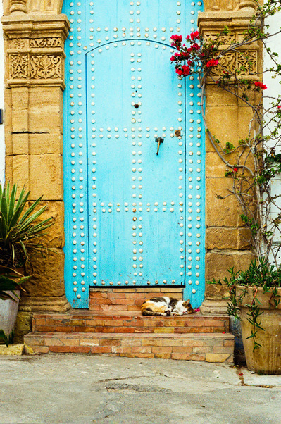 A cat sleeping in front of a light blue door and decorated stone columns. Kasbah of the Udayas, Rabat, Morocco.  2020, March 2nd
Un chat endormi devant une porte de bois cloutée bleue turquoise, encadrée de colonnes de pierre. Maroc, 2 mars 2020
