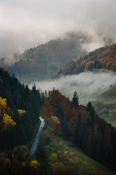 A wet road soars through trees of yellow, green, and beige fall colors while in the distance large swirls of mist partially cover valleys and slopes. France, Auvergne-Rhône-Alpes, Haute-Savoie, Les Clefs, 2021
Une route humide dans la brume matinale