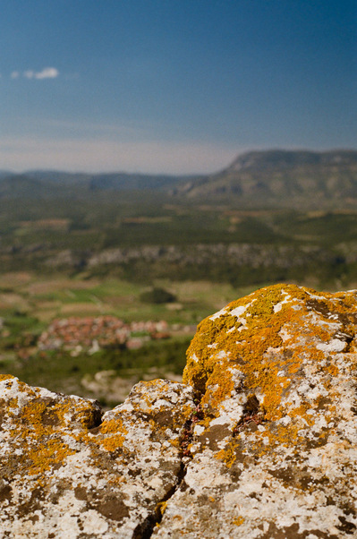 In the foreground, the shape of a stone covered with yellow moss takes up the line of the hilly landscape visible in the background. France, Occitanie, Pyrenees-Orientales, Tour del Far, 2022
Une pierre couverte de mousse jaune