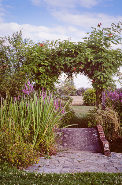 In a garden, a small brick and cement bridge surmounted by an overgrown hopper and framed by flowers. France, Centre-Val de Loire, Loir-et-Cher, Sologne, Neung-sur-Beuvron
Un petit pont de brique et de ciment encadré de fleurs et de feuillages 
