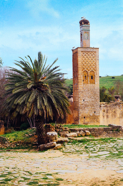 Crowned by stork nests, the minaret constructed by Abou El Hassan and a large palm tree in the ruins of the Roman city of Chellah, Morocco.
Un vieux minaret couronné de nids de cigogne et un imposant palmier dans les ruine d'une cité romaine. Maroc, 2020