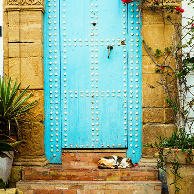 A cat sleeping in front of a light blue door and decorated stone columns. Kasbah of the Udayas, Rabat, Morocco.  2020, March 2nd
Un chat endormi devant une porte de bois cloutée bleue turquoise, encadrée de colonnes de pierre. Maroc, 2 mars 2020