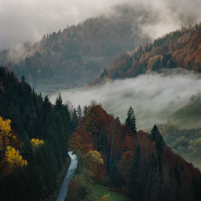 A wet road soars through trees of yellow, green, and beige fall colors while in the distance large swirls of mist partially cover valleys and slopes. France, Auvergne-Rhône-Alpes, Haute-Savoie, Les Clefs, 2021
Une route humide dans la brume matinale