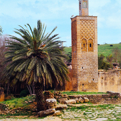 Crowned by stork nests, the minaret constructed by Abou El Hassan and a large palm tree in the ruins of the Roman city of Chellah, Morocco.
Un vieux minaret couronné de nids de cigogne et un imposant palmier dans les ruine d'une cité romaine. Maroc, 2020