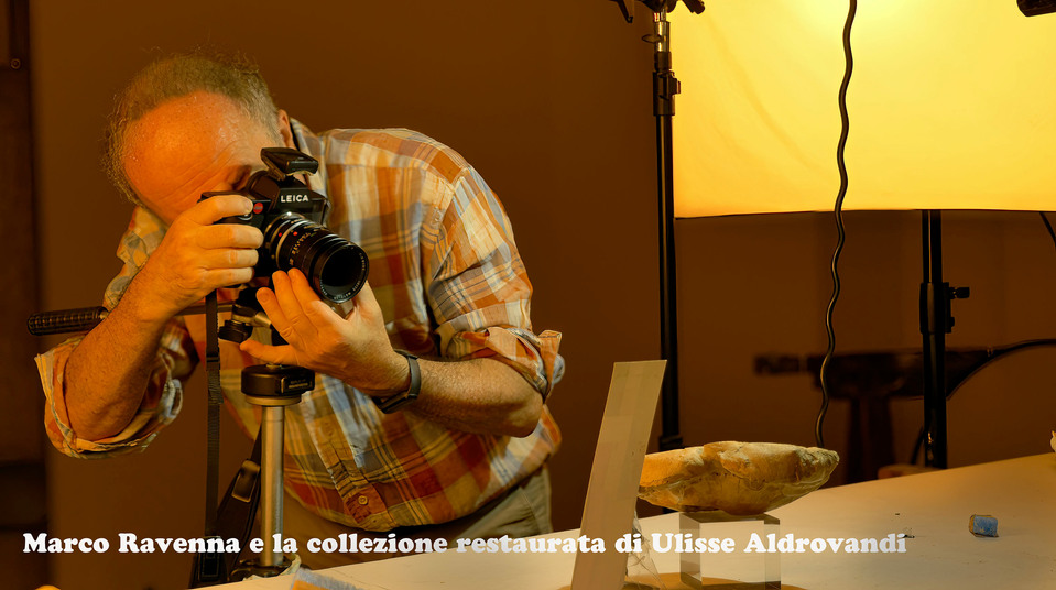 Marco Ravenna fotografa la collezione Ulisse Aldrovandi Bologna Italia Unibo