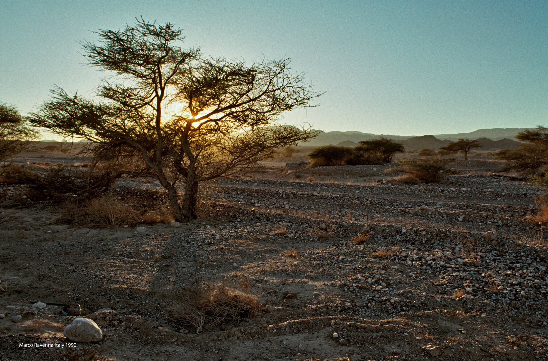 Israel, desert, kodachrome,1990,