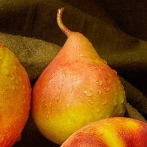 La fotografia di una natura morta con frutta può essere realizzata utilizzando una varietà di tecniche.   La tecnica artistica del 