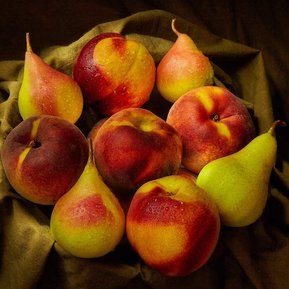 La fotografia di una natura morta con frutta può essere realizzata utilizzando una varietà di tecniche.   La tecnica artistica del 