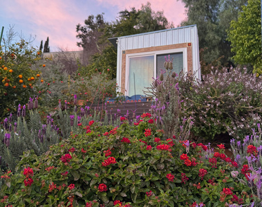 wildflower lavender lantana hillside hardscape garden otherworld landscape design cypress park mount washington los angeles cloud temple