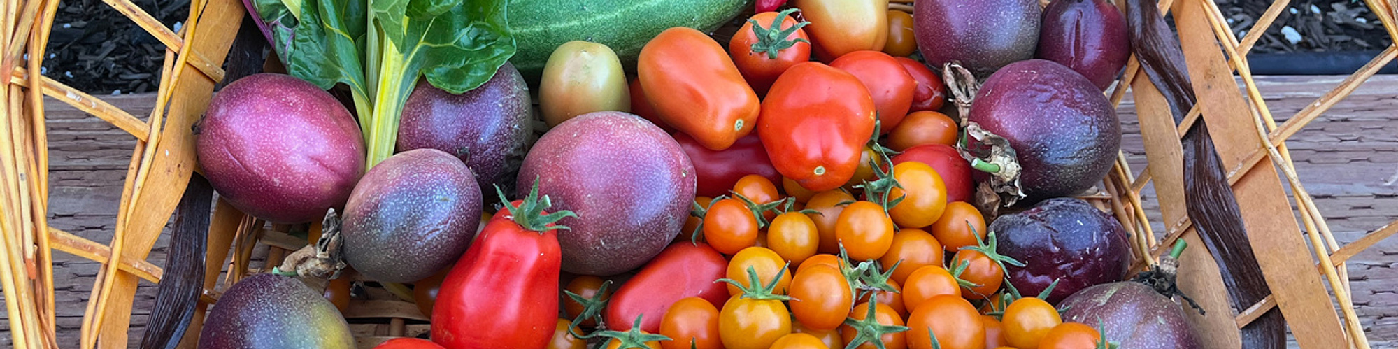 living garden food grow passionfruit sunburst tomato kale san marzano rainbow chard zucchini bounty bountiful basket we grew this homegrown victory Otherworld landscape design zander fieschko marissa bergman portal magic green witch plant witchcraft los a