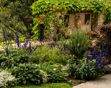 Hellenic garden greek statue pan forest fountain tuscan native Mulholland Drive purple flowers natural lawn  Otherworld landscape design zander fieschko marissa bergman portal magic green witch plant witchcraft los angeles cypress park mount washington ea