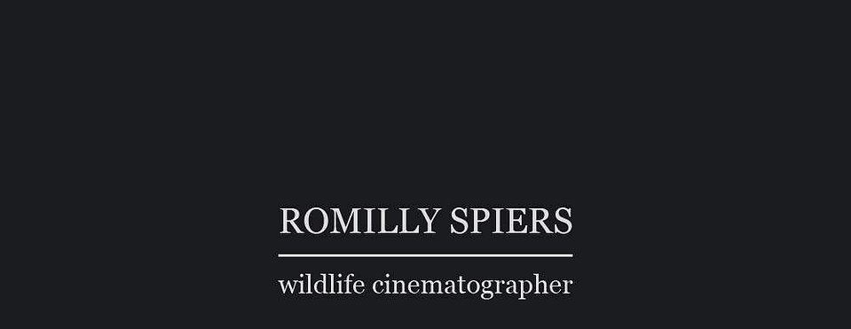 Romilly Spiers
