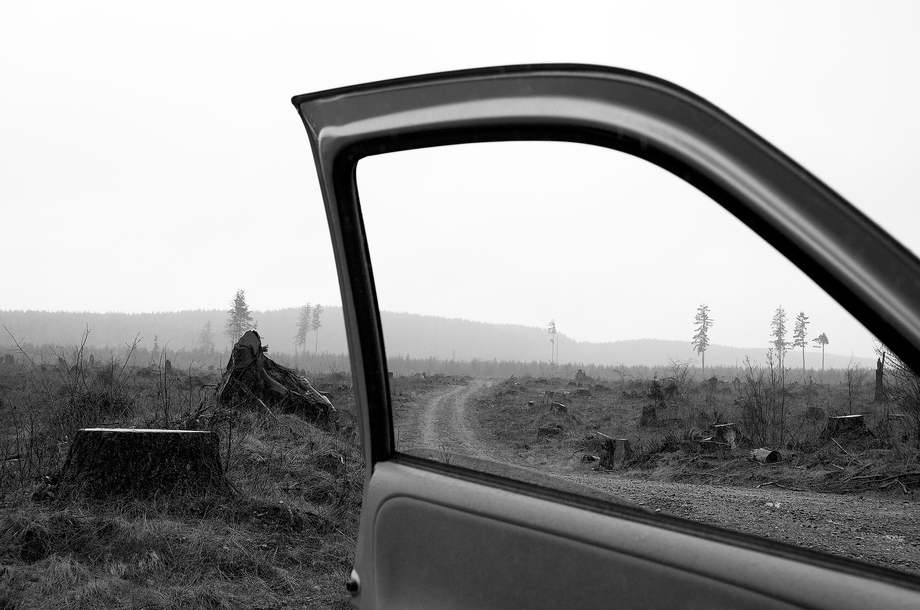 Looking out across a clearcut in the Satsop River Valley less than a mile from my home.