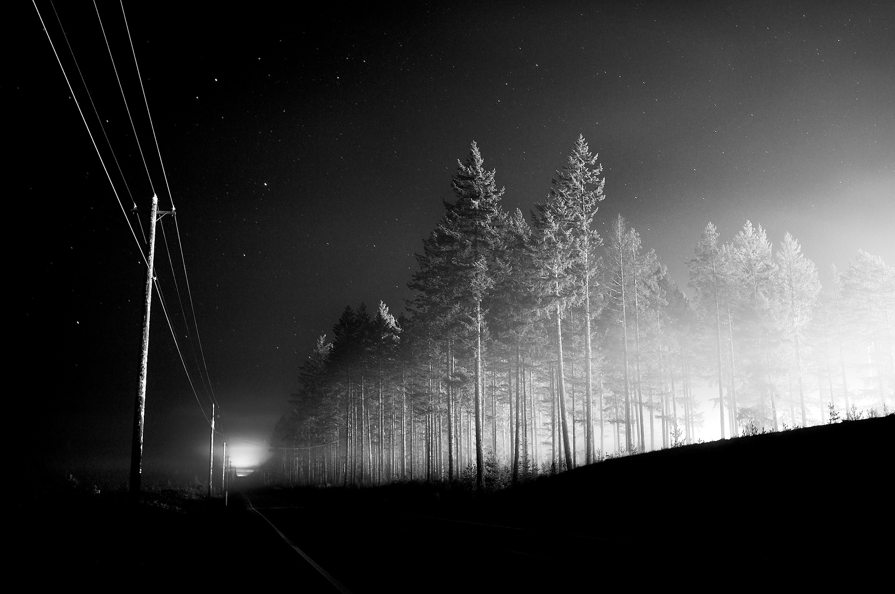 A log sorting yard lights a stand of trees in Mason County, Washington. A few months later, the trees were cut down for lumber.