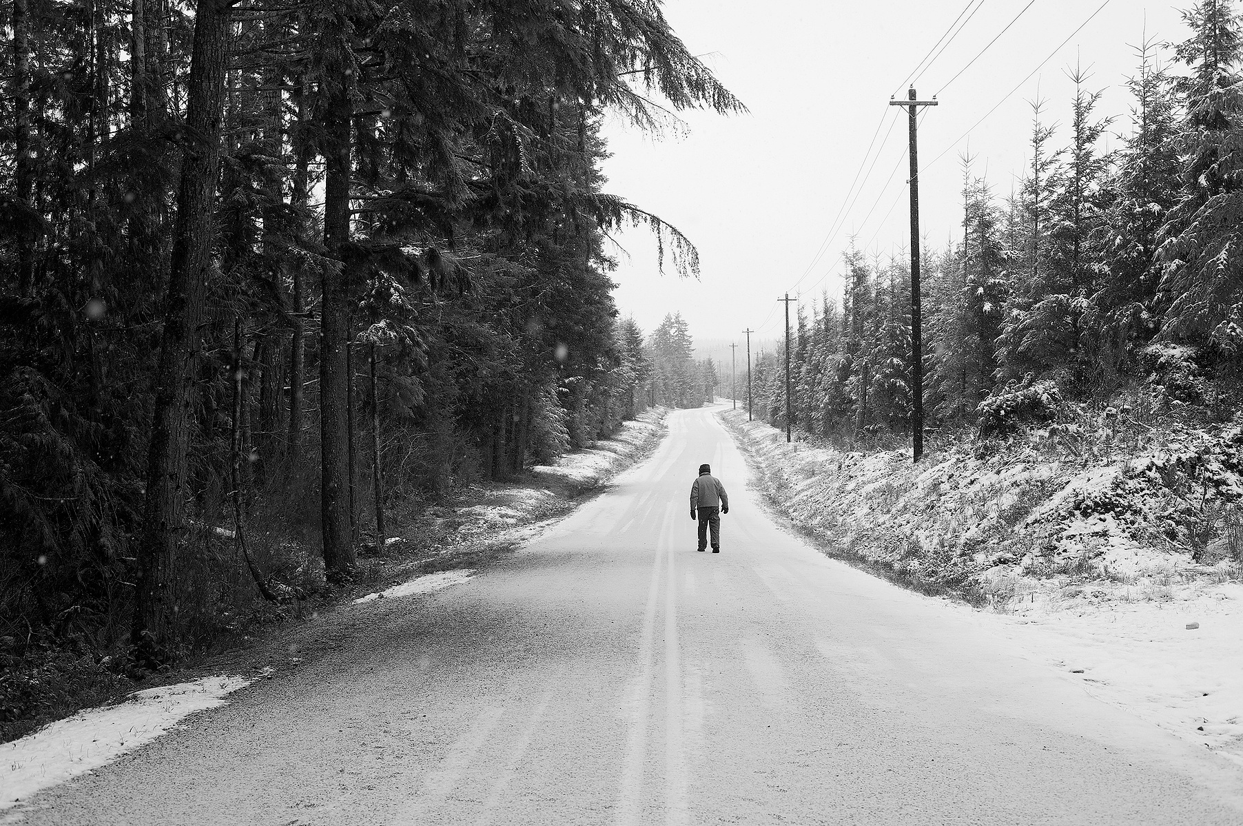 A winter's day in the Satsop Valley of Washington State. A young monoculture stand of planted trees on the right contrasts with the older stand, ready for harvest, on the left.