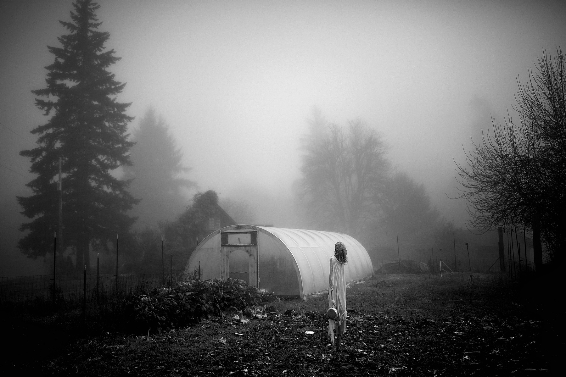 A small rural farm in the sparsely populated Satsop Valley of Washington State. Most of the land is owned by timber companies while some parcels, such as this one, are zoned as "inholdings" and surrounded by commercial timberlands.