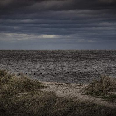 A high quality print available to buy of the view out to sea from Shellness, Kent.