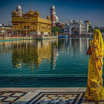 A high quality print available to buy of a lady in a yellow sari at the Golden Temple in Amritsar, India.