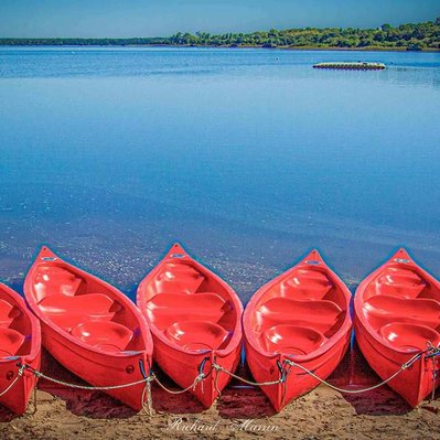 A high quality print available to buy of a seven bright red canoes moored at the lakeside in France.