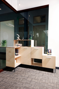 Custom Credenza