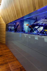 Modern Built-In Fish Tank with Storage