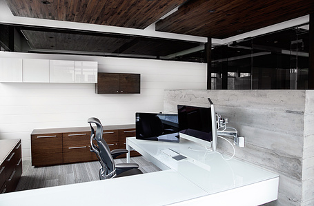 Executive office furniture 