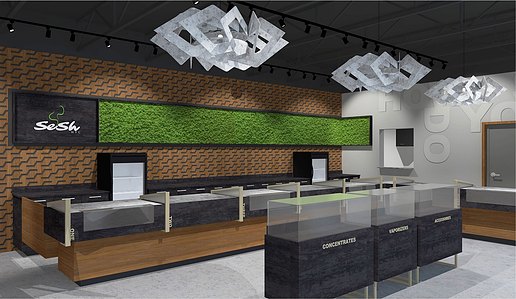 Dispensary interior design and branding concepts for Sesh, NYC