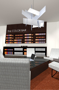 Custom color bar design and display for Paul Mitchell distributor