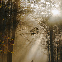 A small figure walks across a road. Sun rays illuminate the scene