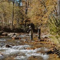 A man and a woman in waders stand in the river fly fishing. The trees surrounding them are orange and yellow.
