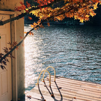 Steps off a lake jetty are framed by golden leaves, the sunlight reflects off the water