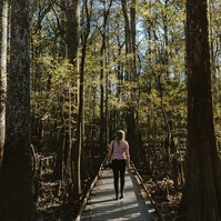 A woman in a red and white striped t shirt walks down a wooden board walk surrounded by swamps.