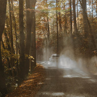 A car kicks up dust as it drives down a dirt track, the sunlight creates rays through the Autumn trees
