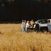 A family stands at the back of a pick up truck in the evening light. They take photos of elk surrounding them