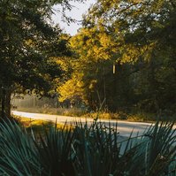An empty road is illuminated by bright evening sun