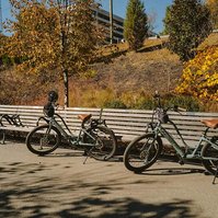 Two electric bikes lean against a park bench in the sun