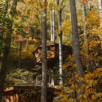 Futuristic wooden treehouse amongst the Autumn colours, Kentucky