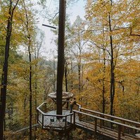 Blonde woman looks over edge of wooden platform in Kentucky surrounded by yellow leaves