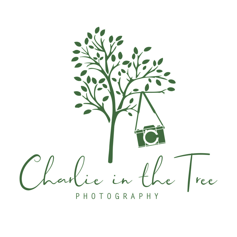 Charlie in the Tree Photography