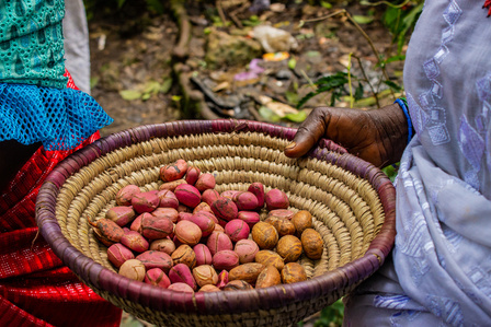 A woman carries kola nuts and bitter kola for sacrifice at the Ojubo Osun during the grand finale of the celebration of the annual Osun-Oshogbo festival.