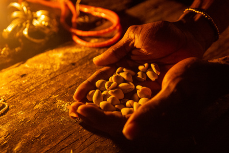 Yoruba belief system surrounds the body and being. The belief in duality reincarnation and supernatural omnipresence is central to the Yoruba culture. Lamp Cowries Money