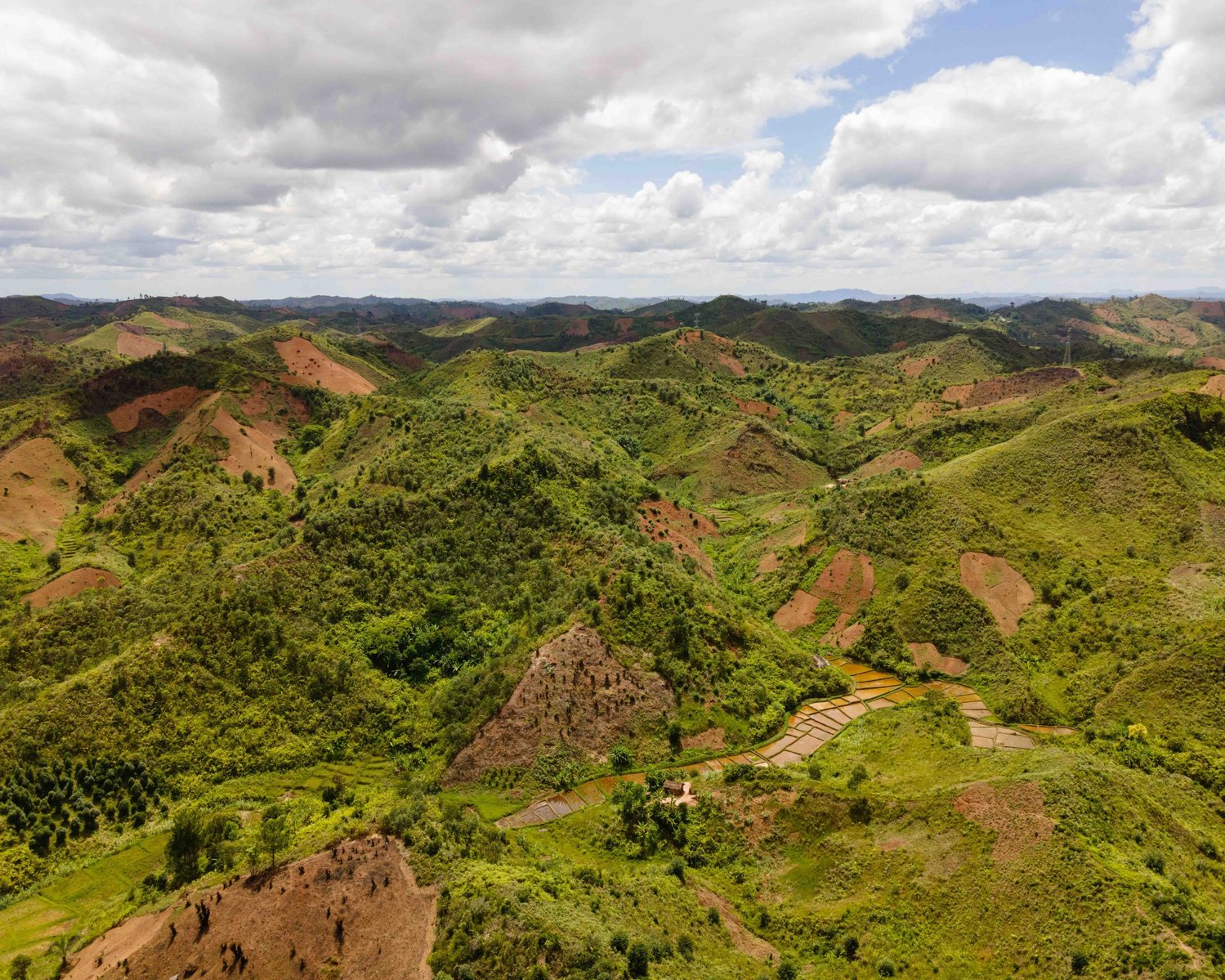 Déforestation de la forêt tropicale autour de Vohimana, Madagascar