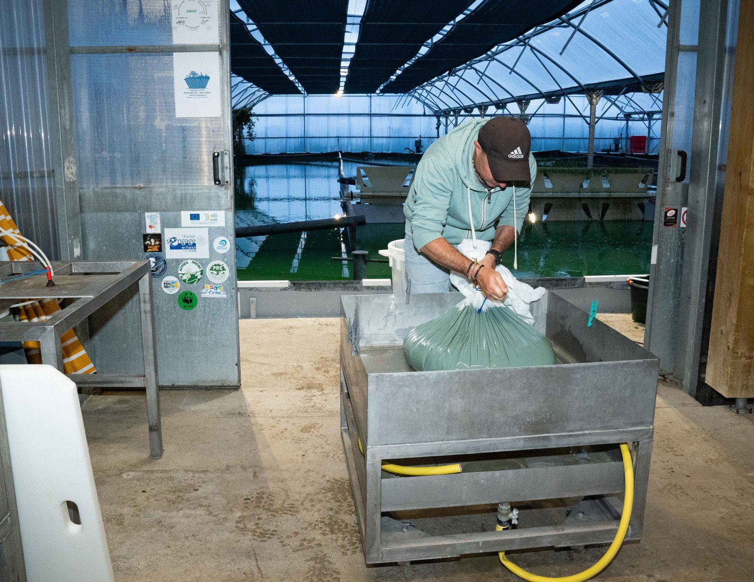 étape de transformation de la spiruline. Hugo vient pressé la spiruline pour enlever le plus d'eau possible