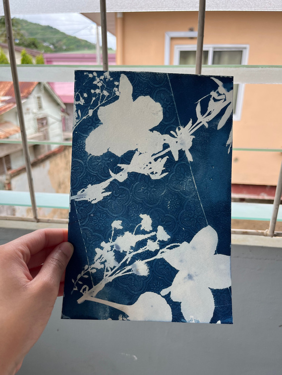 Hand holding cyanotype print