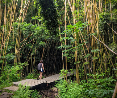 A woman walking into a bamboo forest. Copyright Tony Rix.