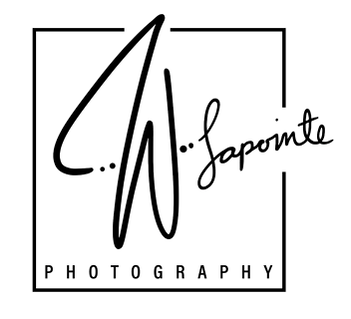 Wesley Lapointe Photo