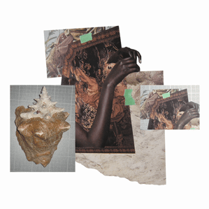 A conch shell, arm, hands, and portrait move in constant motion creating an ambiguous being. This is a depiction of Orpheus from the Greek mythology of the lovers, Eurydice  and Orpheus.