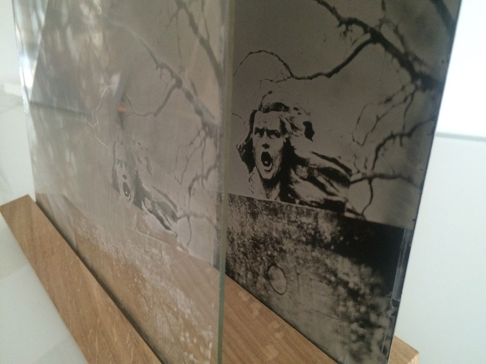 www.melaniejanefrey.com
collodion humide
wetplate collodion
tintype
ferrotype
melanie-jane frey
photographe plasticienne
visual artist
art contemporain
World War 1
Première guerre mondiale
Large format camera